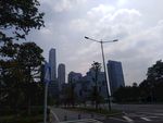 深圳 深圳湾 公园 南山区 市