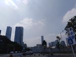 深圳 深圳湾 公园 南山区 市