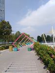 深圳 深圳湾 公园 南山区 市