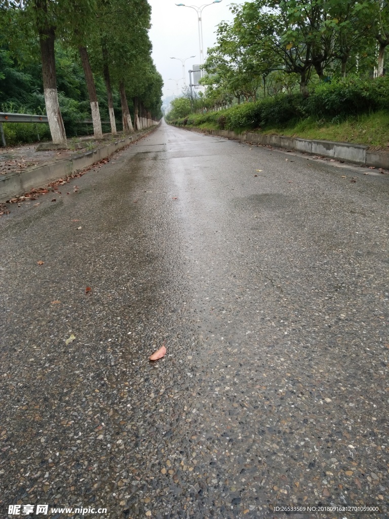 路 公路 交通 运输
