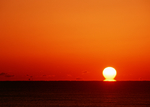 夕阳