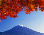 风景