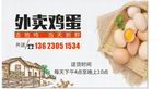 鸡蛋名片