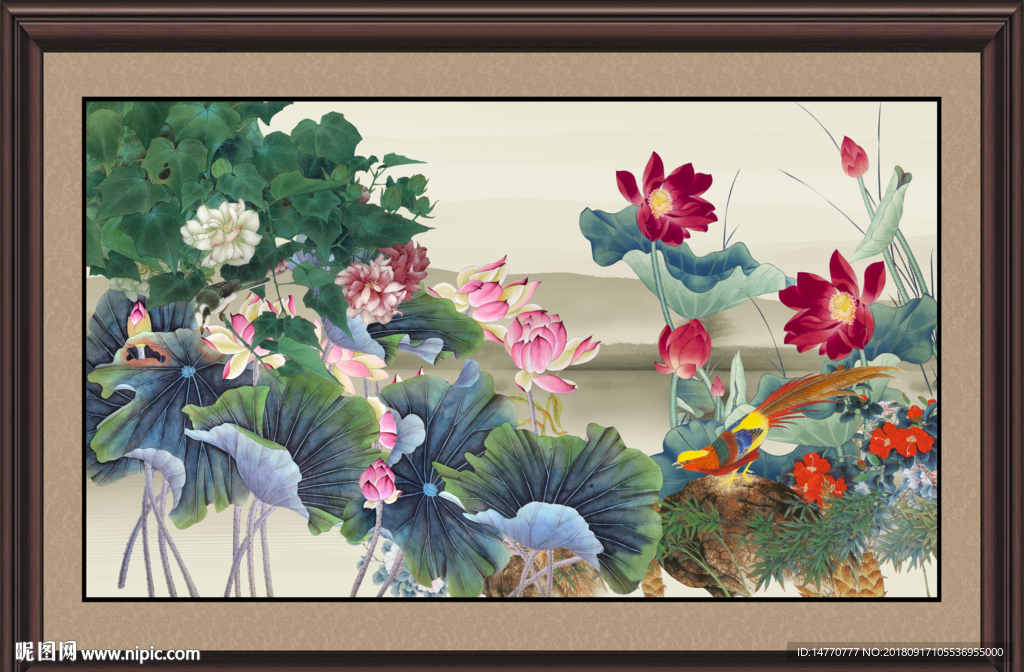 国画荷花