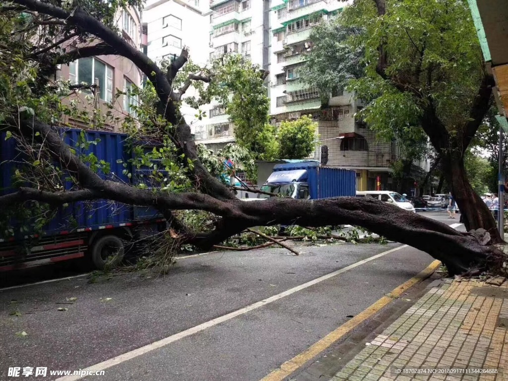 广州台风