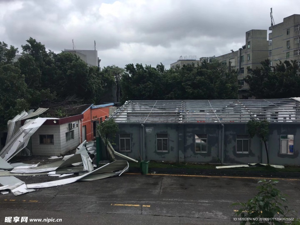 暴雨后