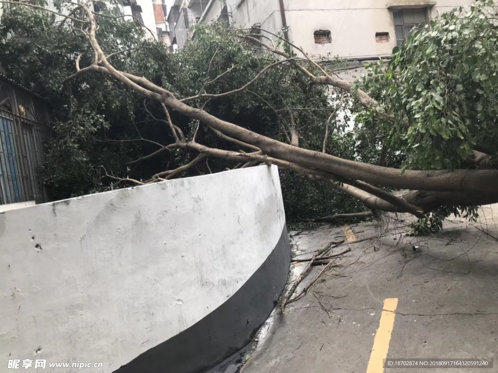 台风来临