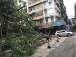 台风风暴