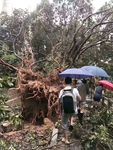 台风天气