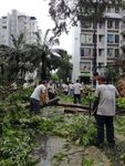 小区台风后抗灾