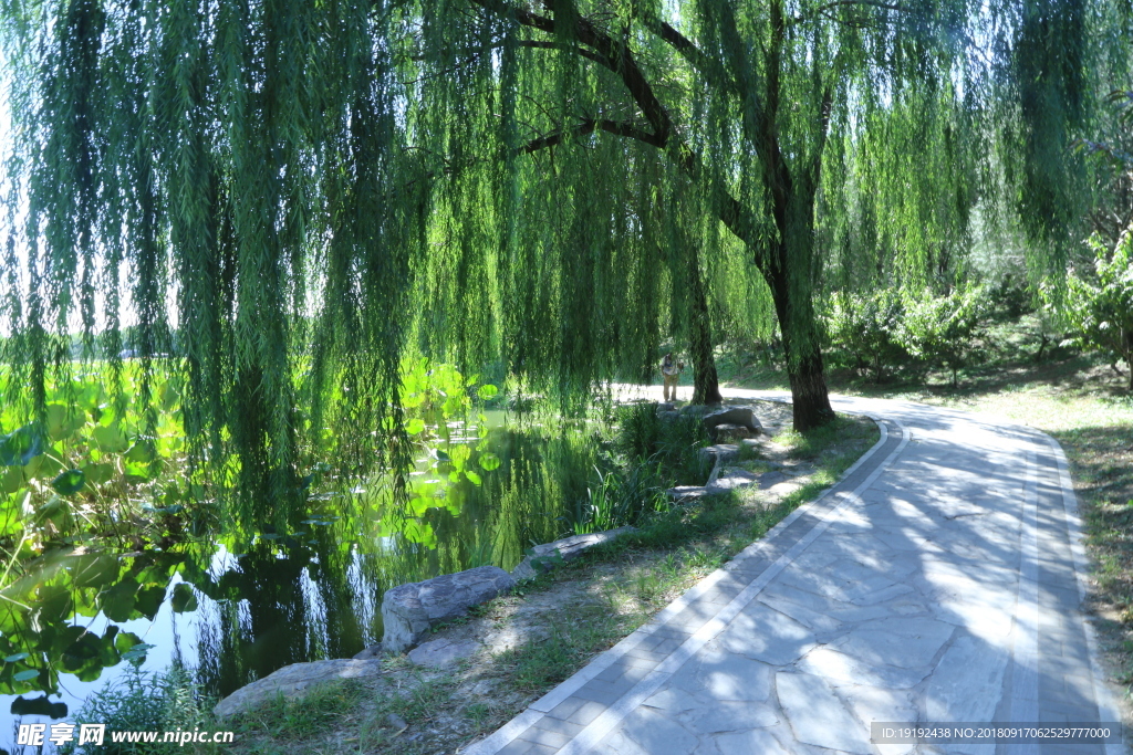 圆明园风景