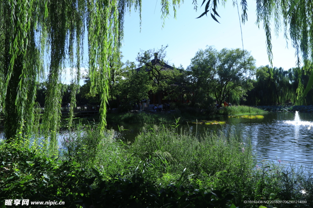 圆明园风景
