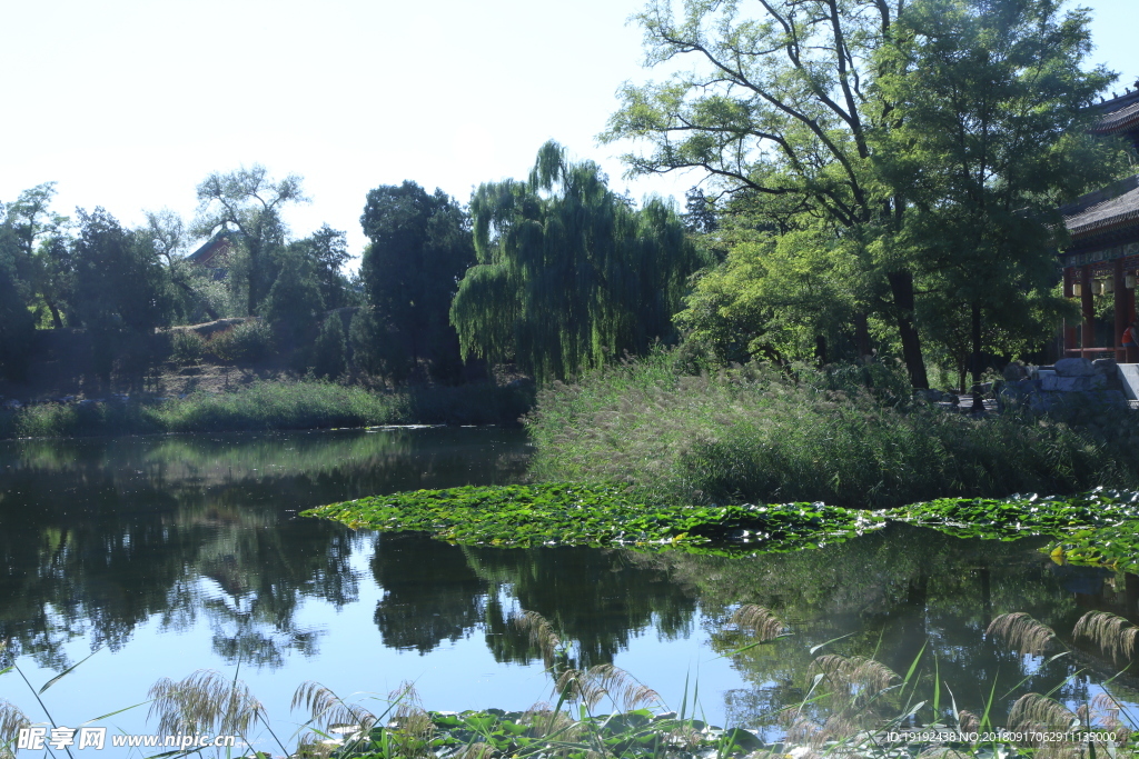 圆明园风景