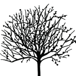 卡通装饰画