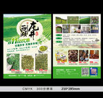 茶叶彩页