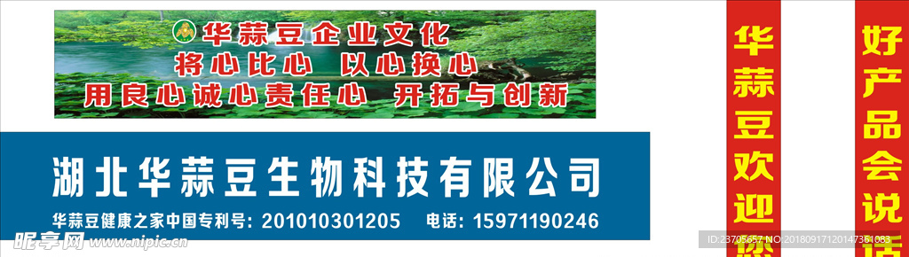 华蒜豆