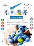 蓝莓海报