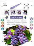葡萄海报