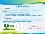 结核病的防治