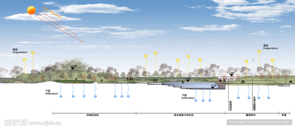 生态河道 景观剖面图 生态湿地