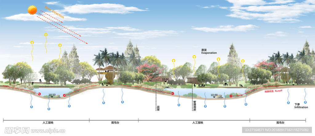 生态河道生态湿地景观剖面