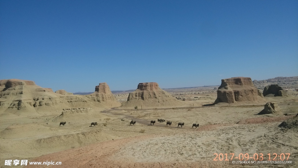 蓝天背景 魔鬼城背景 骆驼队