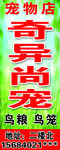 奇异尚宠 宠物店
