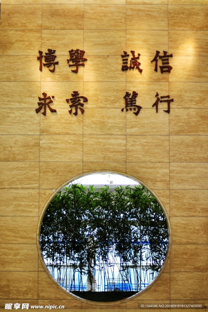 北京外国语大学