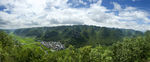 东峰林