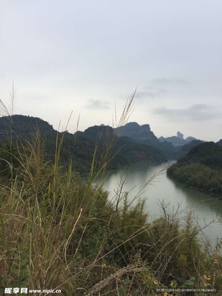 草为主角