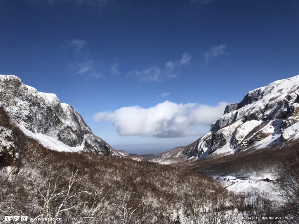 雪山飞弧