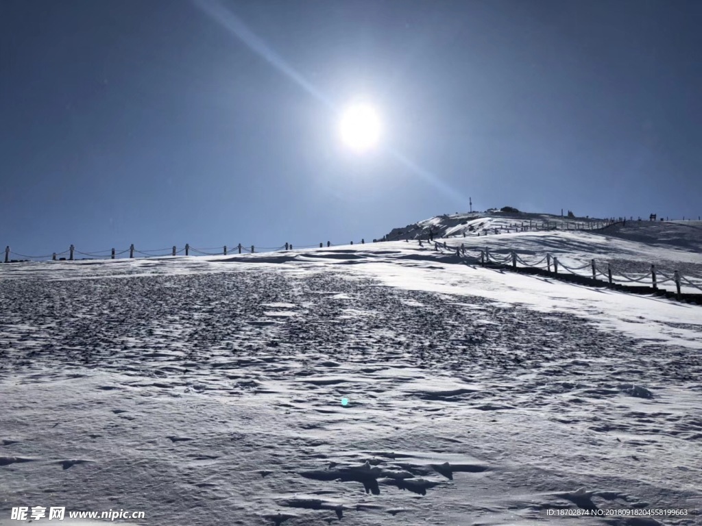 雪中太阳