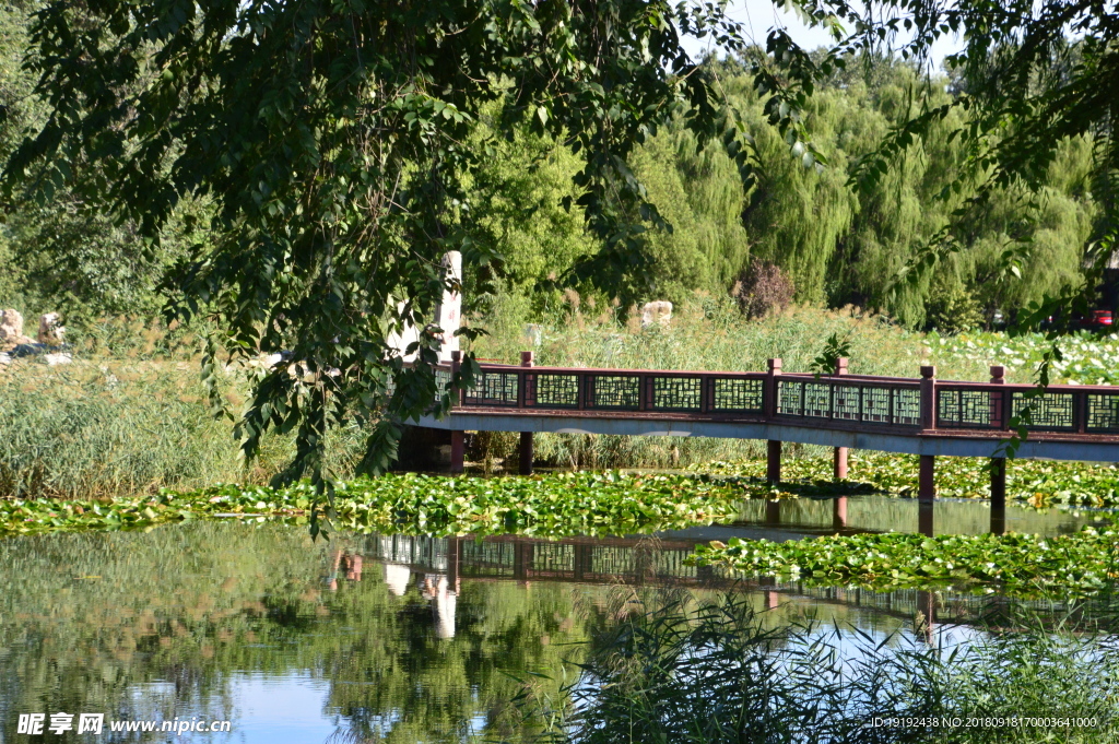 圆明园风景