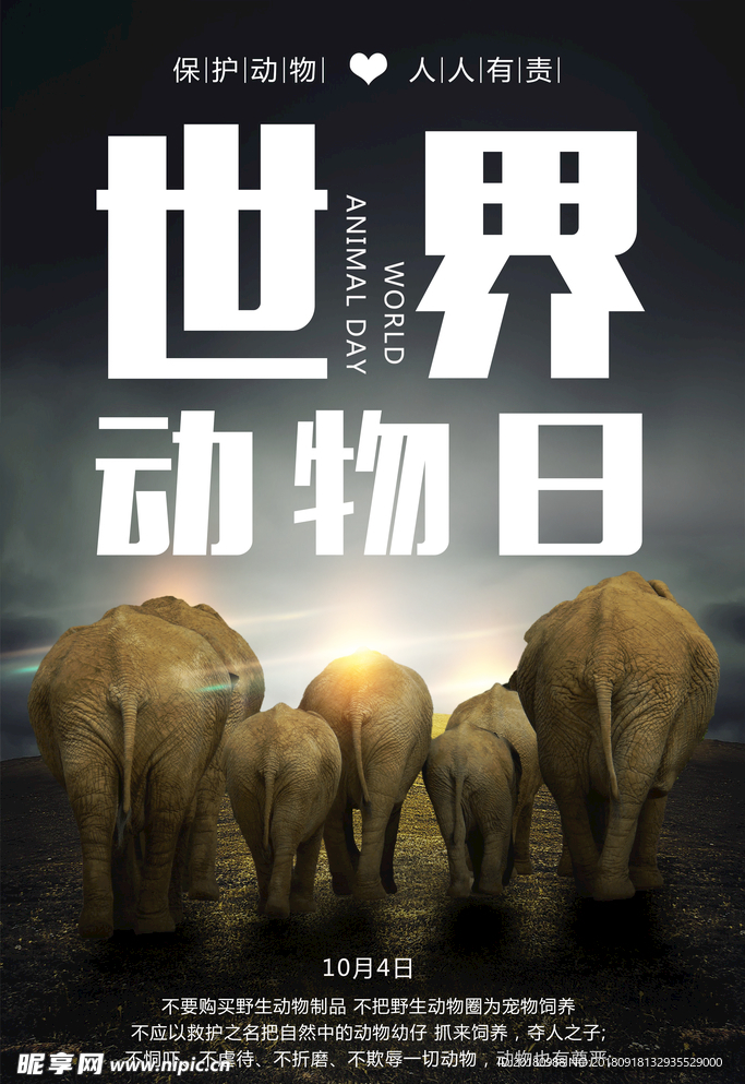 世界动物日