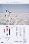 寒露