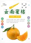 桔子海报