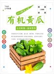 黄瓜海报