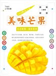 芒果海报