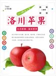 苹果海报