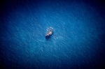 海洋
