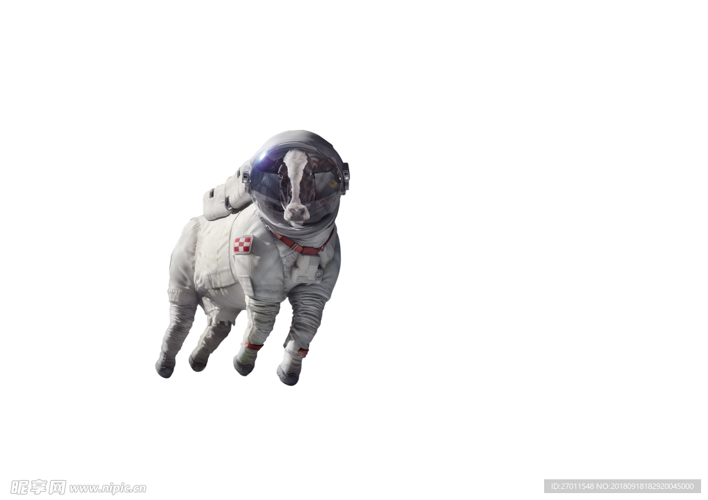 狗 羊 太空 科技
