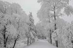 荆山雪景