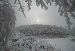 雪中夕阳