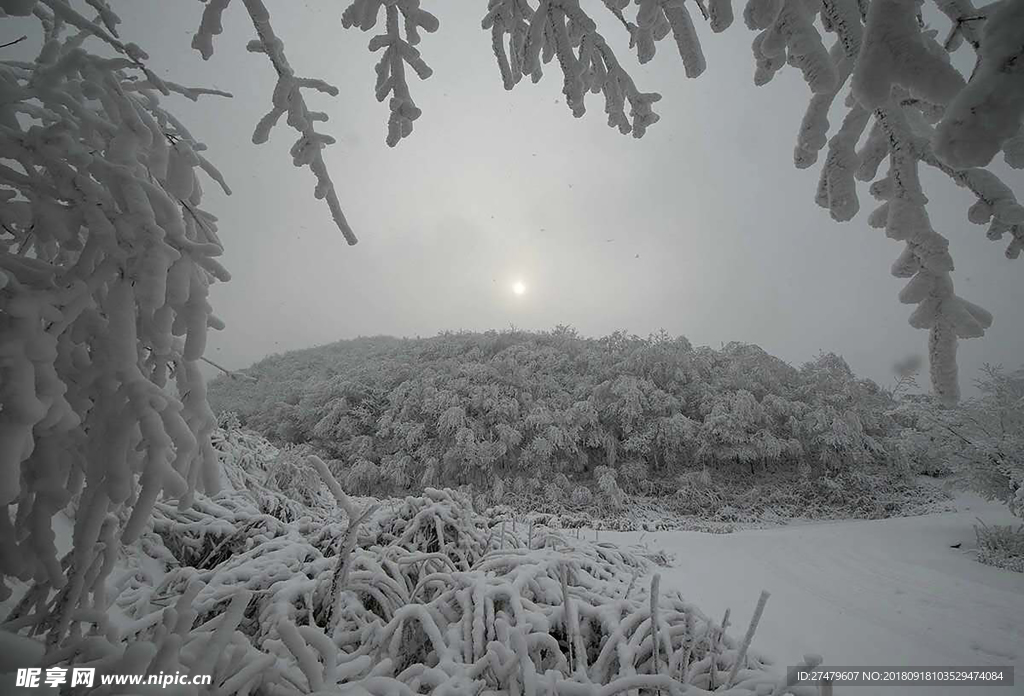 雪中夕阳