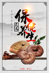 药材养生展板