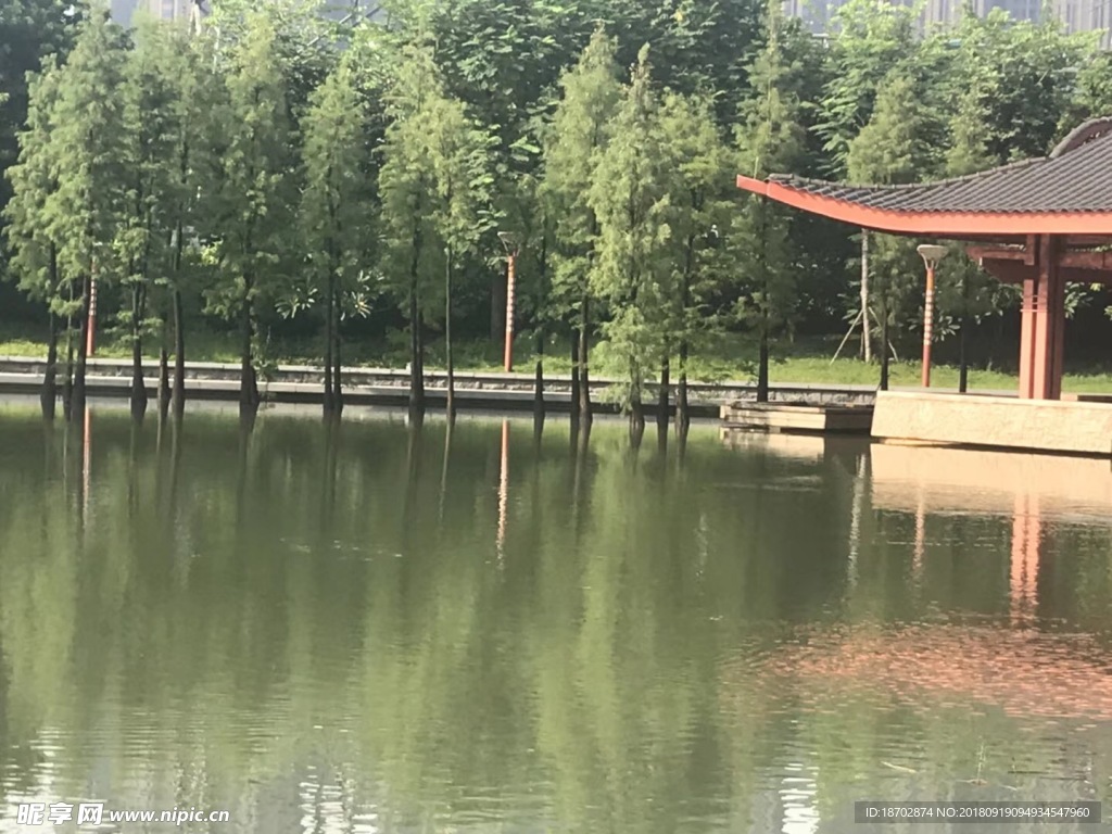 平静湖面