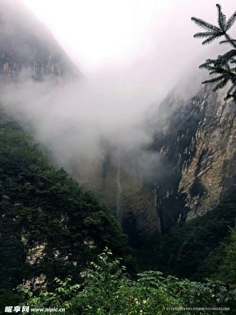 山雾