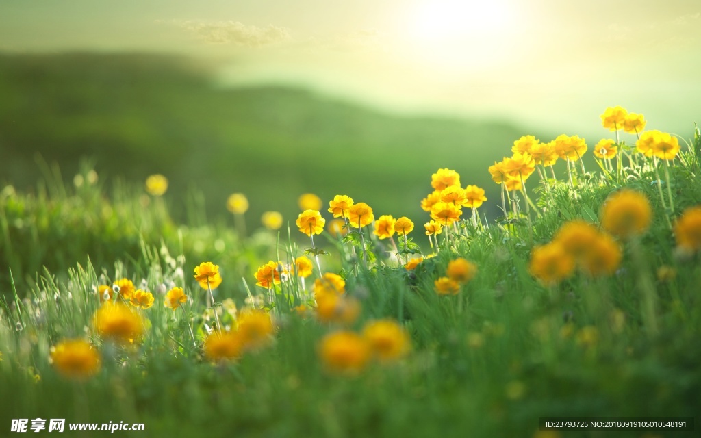 花