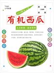 西瓜海报