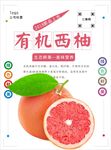 西柚海报